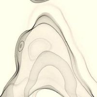 2022年10月5日出生优雅女孩名字免费 五行金旺的女宝宝宜用字