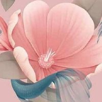 二手车起名字大全大气 时尚有内涵店面名字