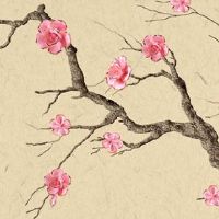 68车牌号最佳寓意 是一组吉利旺运的数字