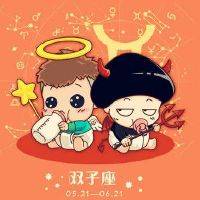 12星座中双子座女会喜欢什么星座的男孩