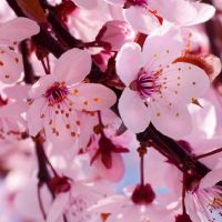 如何辨别金牛座男人是真分手还是假分手