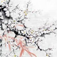 2022年10月15日出生热门女宝宝起名 女孩五行缺火的宜用字