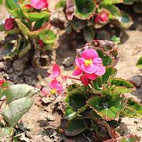 星盘上水星落在天蝎座会有哪些方面的影响