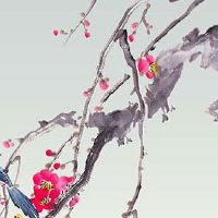 车牌比较吉利的数字和字母 车牌尾数吉凶解读
