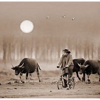 人们该怎样杜绝日常生活的灾难?