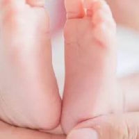 草字头最旺男孩名字 有生命力的男宝宝取名合集