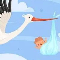 属兔宝宝取名最佳用哪些字 2023年吉利大气的孩子名字