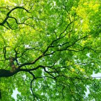 金牛女性格上的优缺点分析