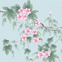 2022年属虎下半年要出大事 恐有危机当与人为善