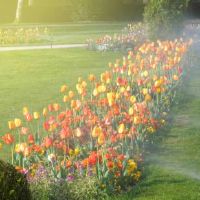 十二星座中脾气最暴躁的星座排名