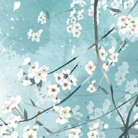 洋气二手车名字 有内涵高级车店取名