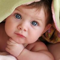 虎年出生的女宝宝取名