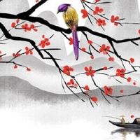 属虎和属猴的相配吗 虎猴相冲如何化解