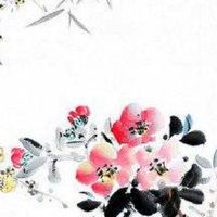 手机号伏位加天医数字1131 添财旺运的手机尾号