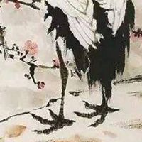 数字能量学八大磁场表吉凶 吉祥如意的旺财手机号