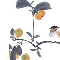 女人二婚命的化解方法 八字中四柱无财男命婚姻多矛盾