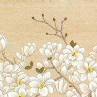 2022年11月3日出生的女孩起名字大全 五行补火补土的好名推荐