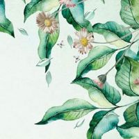 2022年11月2日出生的属虎女宝宝取名 五行缺火的最好寓意名字