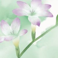 卤味取什么名字比较特色 吉利好听店铺名字