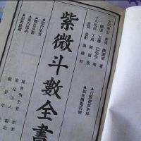 天同星入命的人
