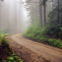 天蝎座喜欢你想和你结婚会有什么表现