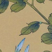 八字命宫详解一生 四宫八度之轻薄之命