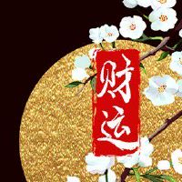 炉中火跟海中金的财运 一生不愁吃穿