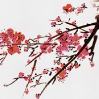 入宅是什么意思入宅和搬家有区别吗?入宅不可犯三杀