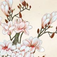 2022年11月28日出生男孩怎么起名 根据五行八字来取最合适名字