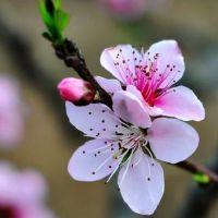 八字大海水命人的良配有什么