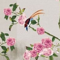 手心有田字纹要注意!田字纹不能出现在哪里?