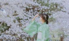 探秘学霸隐藏式表达的奥妙:数学公式如何在其中获得隐蔽的幕后支撑?你能理解其中的几个吗?