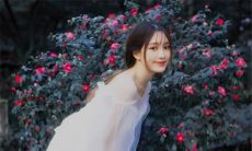 如何以妥善的方式和陌生女性建立联系并启动对话,学会后可以方便地与他人交朋友和拓展人脉资源