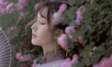 思念挚爱的情感表达句子,古典风韵中脉脉深情,令人心醉神往,谁来倾听?