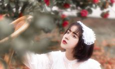 给女朋友发的晚安短信 温馨晚安问候语